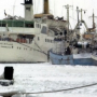 eiswinter_hafen_helgoland_schwalbe_annemarie_gudrun.jpg