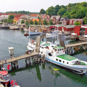 seebadborby2.jpg