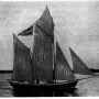 regatta_1901_schwertquase.jpg