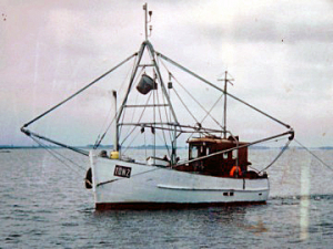 POMMERN