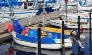 SENTA