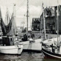 stoertregen3.png
