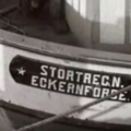 stoertregen.png