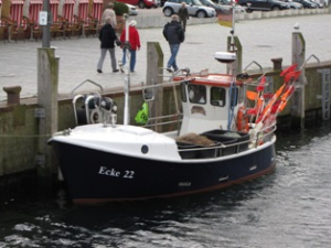 INGA II INGA II